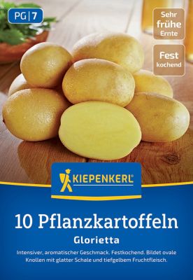 KIEPENKERL Pflanzkartoffel 'Glorietta', festkochend, 10 Stück Cover